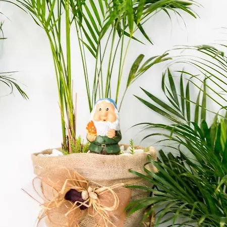 3 Sisters ספליט